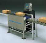 Conveyor Scale