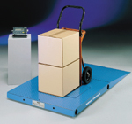 Floor Scale