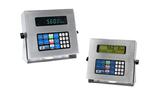 Scale Indicators