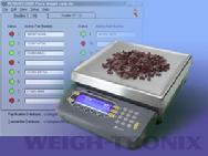 Counting Scales
