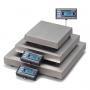 Bench Scales
